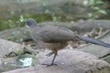 IMG_3562.jpg        