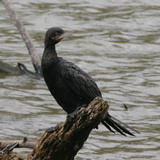 IMG_3572.jpg        