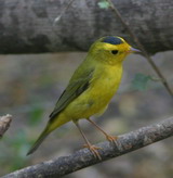 IMG_3584.jpg        