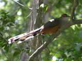 2003_10_25_004.jpg  