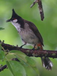 IMG_4519.JPG        