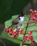 IMG_6522.JPG        