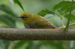 IMG_6534.JPG        
