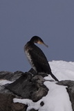 GRCO.jpg            