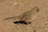 ABTO.jpg            