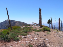 Bighorn Peak