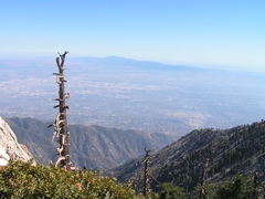 View from Ontario Peak