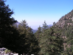 On Mount San Antonio