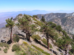 Mount Baldy Ridge