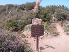 Strawberry Saddle