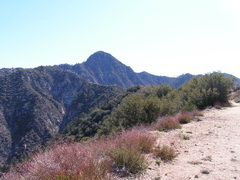 Josephine Peak