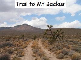 Trail to Mt Backus