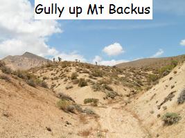 Gully to Mt Backus