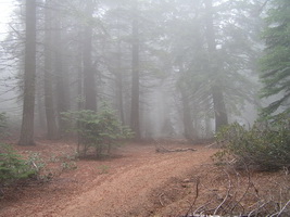 Sunday Peak Trail