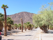 2006_10_06_001.JPG