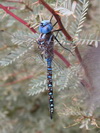 2006_10_08_007.JPG