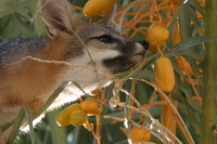 2009_10_02_023.JPG