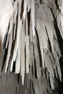 2009_10_03_055.JPG
