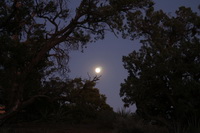 2009_10_03_071.JPG
