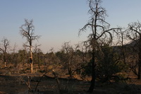 2009_10_04_001.JPG