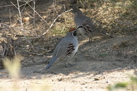 2009_10_04_036.JPG