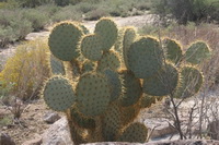 2009_10_04_047.JPG