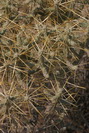 2009_10_04_051.JPG