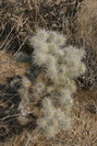 2009_10_04_053.JPG