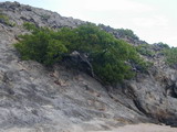 2001_11_12_007.JPG
