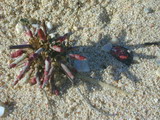 2003_09_06_014.JPG