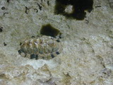 2003_09_06_027.JPG