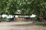 IMG_2902.JPG