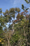 IMG_4630.JPG