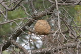 IMG_4653.JPG