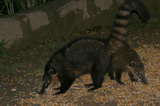 IMG_4855a.JPG