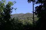 IMG_4892.JPG