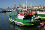 IMG_5007.JPG