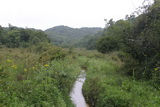 2006_07_09_005.JPG