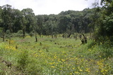 2006_07_09_034.JPG