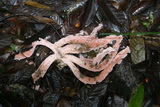 2006_07_09_037.JPG