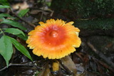 2006_07_09_057.JPG