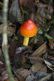 2006_07_09_058.JPG