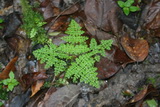 2006_07_10_027.JPG