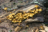 2006_07_14_017.JPG