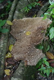 2006_07_14_049.JPG