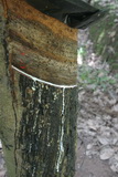 2006_07_14_060.JPG