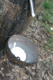 2006_07_14_061.JPG