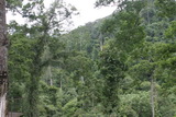 2006_07_15_031.JPG