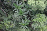 2006_07_15_045.JPG