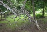 2006_07_16_008.JPG